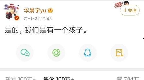 娱乐圈爽文吃瓜完结推荐,从吃瓜小白到顶级瓜王，我的逆袭之路